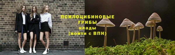 прущие крисы Богданович