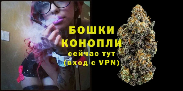 дурь Богородицк